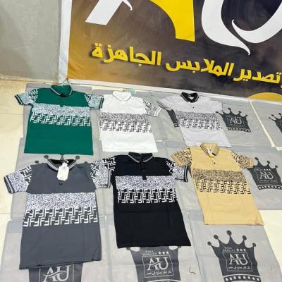 300 قطعة×تي شيرت بولو محير بالياقة